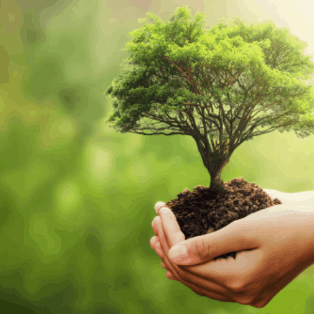 female-greenhouse-store-employee-holding-plants-ready-sale-1000x1000.jpg (2)